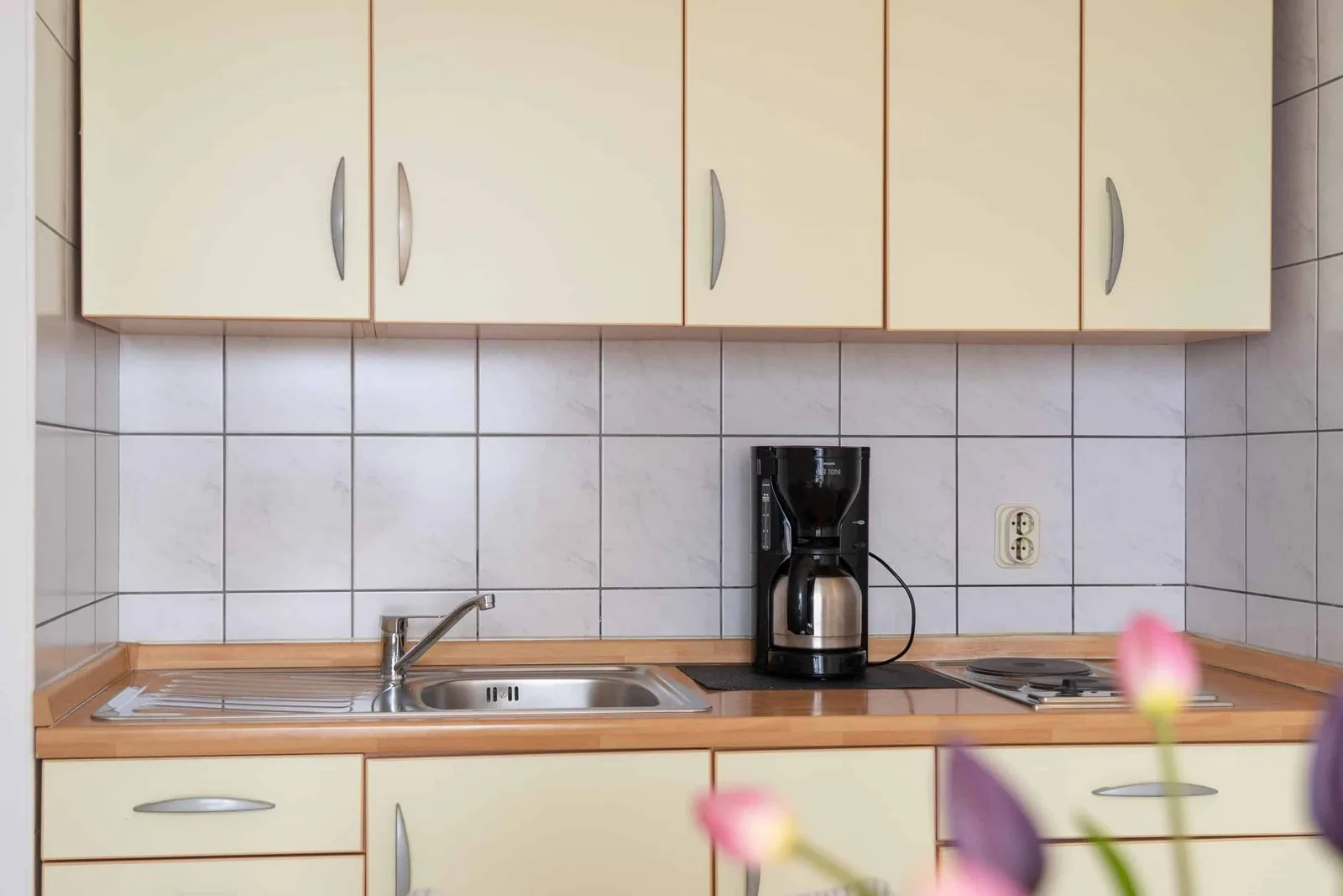 Apartments Branka