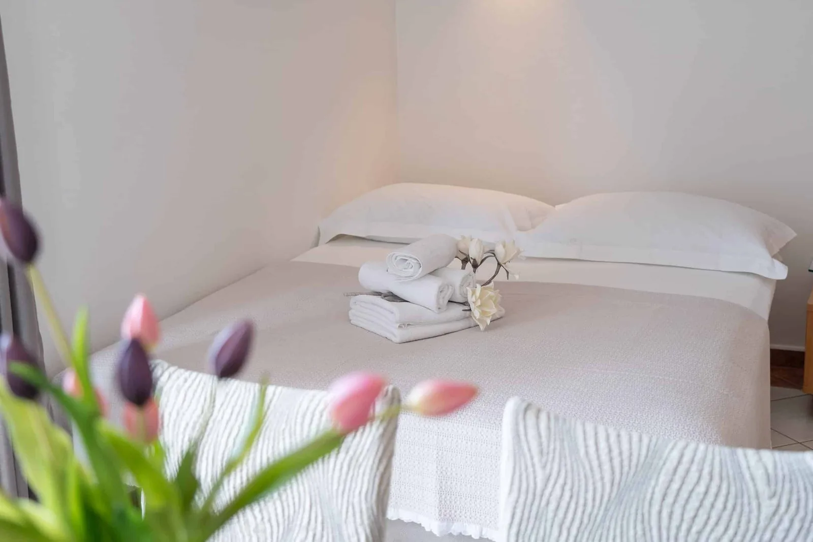 Apartments Branka