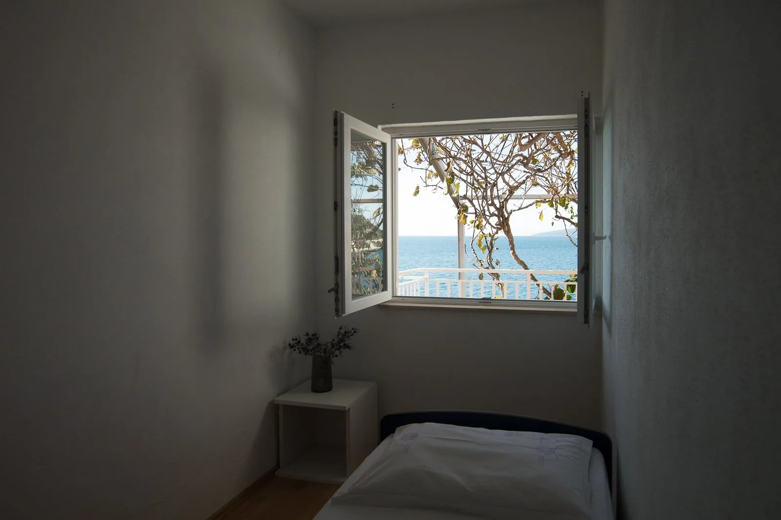 Apartmani Stablo limuna